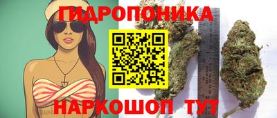 сатива Гуково