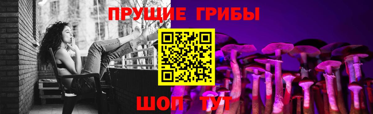 Галлюциногенные грибы прущие грибы Городец
